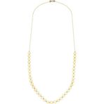 Glorria Altın 50 cm Pullu Kolye