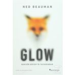 Glow - Ned Beauman