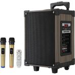 GLR LT-910 Kablosuz 2 Mikrofonlu Kablosuz Hoparlör