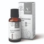 Glucosamine Kedi Ve Köpekler İçin Chondroitin İçerikli Eklem ve Kıkırdak Desteği 100 ml