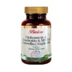 Glukozamin Kondroitin Msm Boswellia Akgünlük Glukosamin Bosvelya 120 Tablet X 1200 Mg