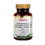Glukozamin Kondroitin Msm Boswellia Akgünlük Glukosamin Bosvelya 120 Tablet X 1200 Mg