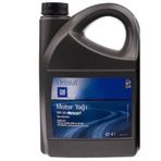 GM 5W-30 Dexos 1 4 lt Partiküllü Motor Yağı