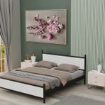 Gm Çift Kişilik Metal Siyah Beyaz Karyola 160X200