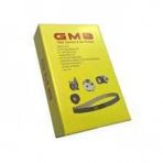 GMB GTK 594009 Eksantrik Rulman Triger Seti