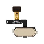 GMR Samsung Galaxy J7 Pro 2017 J730 Gold Home Tuş Bordu Filmi