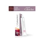 Gndz Store Profesyonel Tüp Saç Boyası 60 ml 4.65 Şarap Kızılı - Option-1
