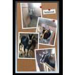 Goat collage, 125 page paperback notebook, blank, 6x9 ,black, farm, homestead, Alpine, gift for her or him, birthday, school supplies, office stationary, Christmas gift