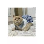 Gobo Denizci Mavi Yakali Kurdeleli Disi Kedi Kopek Kiyafeti Elbisesi Large/L/Beden 3