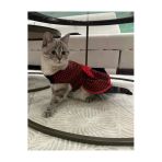 Gobo Kırmızı Siyah Kareli Kırmızı Papyonlu Dişi Kedi Köpek Kıyafeti Elbisesi Small/S/Beden 1