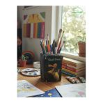 Gobo Küçük Prens Motifli Kalemlik 10 x 8 cm