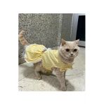 Gobo Sarı Beyaz Kareli Fiyonklu Kedi Köpek Kıyafeti Elbisesi Medium/M/Beden 2