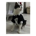 Gobo Siyah Papyonlu Smokin Damatlık Kedi Ve Köpek Elbisesi Kıyafeti Takım Elbise Xlarge/xl/beden 4