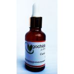 Gochida Havyar Ve Somon Dna Antı-agıng Orjinal Serum 30 Ml