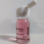 Gochida Somon Dna Antı-Agıng Cilt Serumu 10 ml Flakon