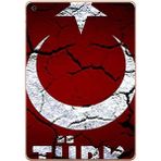 Gogo Accessories Apple iPad Air 2017-2018 A1893 A1954 T015 Türk Baskılı Silikon Kılıf