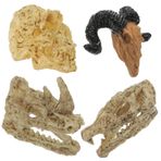 Gogogmee 4 Adet Dollhouse Hayvan Kafatası Duvar Dekoru İskelet Modeli Oyuncak Iskelet Hayvan Kafası Minyatür Kafatası Heykeli İskelet Oyun Seti Cadılar Bayramı Plastik Aksesuarlar