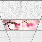 Gök Panel 60X60 LED Panel Aydınlatma Armatür Avize Sıva Altı Desenli 1x2 Ikili Grup 46510072SA - 6400K - Beyaz