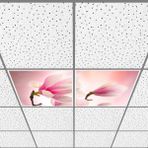 Gök Panel 60X60 LED Panel Aydınlatma Armatür Avize Sıva Altı Desenli 1x2 Ikili Grup 46510086SA - 6400K - Beyaz