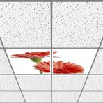 Gök Panel 60X60 LED Panel Aydınlatma Armatür Avize Sıva Altı Desenli 1x2 Ikili Grup 46510693SA - 6400K - Beyaz