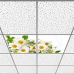 Gök Panel 60X60 LED Panel Aydınlatma Armatür Avize Sıva Altı Desenli 1x2 Ikili Grup 46510696SA - 6400K - Beyaz