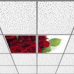Gök Panel 60X60 LED Panel Aydınlatma Armatür Avize Sıva Altı Desenli 1x2 Ikili Grup 46510703SA - 6400K - Beyaz