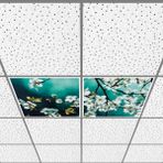 Gök Panel 60X60 LED Panel Aydınlatma Armatür Avize Sıva Altı Desenli 1x2 Ikili Grup 46510745SA - 6400K - Beyaz
