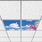 Gök Panel 60X60 LED Panel Aydınlatma Armatür Avize Sıva Altı Desenli 1x2 Ikili Grup 46510867SA - 6400K - Beyaz