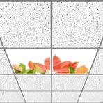 Gök Panel 60X60 LED Panel Aydınlatma Armatür Avize Sıva Altı Desenli 1x2 Ikili Grup 46510985SA - 6400K - Beyaz