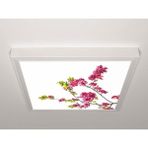 Gök Panel 60X60 LED Panel Aydınlatma Armatür Avize Sıva Üstü Desenli Tekli 46510195SU - 6500K - Beyaz