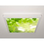 Gök Panel 60X60 LED Panel Aydınlatma Armatür Avize Sıva Üstü Desenli Tekli 46510467SU - 6500K - Beyaz