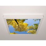 Gök Panel 60X60 LED Panel Aydınlatma Armatür Avize Sıva Üstü Desenli Tekli 46510480SU - 6500K - Beyaz