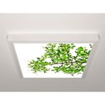 Gök Panel 60X60 LED Panel Aydınlatma Armatür Avize Sıva Üstü Desenli Tekli 46510496SU - 6500K - Beyaz