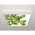 Gök Panel 60X60 LED Panel Aydınlatma Armatür Avize Sıva Üstü Desenli Tekli 46510528SU - 6500K - Beyaz