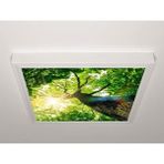 Gök Panel 60X60 LED Panel Aydınlatma Armatür Avize Sıva Üstü Desenli Tekli 46510538SU - 6500K - Beyaz