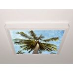 Gök Panel 60X60 LED Panel Aydınlatma Armatür Avize Sıva Üstü Desenli Tekli 46510567SU - 6500K - Beyaz