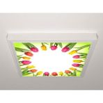 Gök Panel 60X60 LED Panel Aydınlatma Armatür Avize Sıva Üstü Desenli Tekli 46510594SU - 6500K - Beyaz