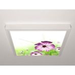Gök Panel 60X60 LED Panel Aydınlatma Armatür Avize Sıva Üstü Desenli Tekli 46510597SU - 6500K - Beyaz