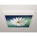 Gök Panel 60X60 LED Panel Aydınlatma Armatür Avize Sıva Üstü Desenli Tekli 46510600SU - 6500K - Beyaz