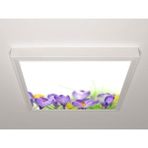 Gök Panel 60X60 LED Panel Aydınlatma Armatür Avize Sıva Üstü Desenli Tekli 46510606SU - 6500K - Beyaz