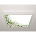 Gök Panel 60X60 LED Panel Aydınlatma Armatür Avize Sıva Üstü Desenli Tekli 46510611SU - 6500K - Beyaz