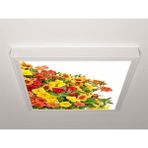 Gök Panel 60X60 LED Panel Aydınlatma Armatür Avize Sıva Üstü Desenli Tekli 46510646SU - 6500K - Beyaz