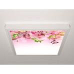 Gök Panel 60X60 LED Panel Aydınlatma Armatür Avize Sıva Üstü Desenli Tekli 46510660SU - 6500K - Beyaz