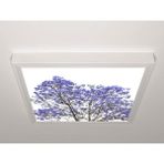 Gök Panel 60X60 LED Panel Aydınlatma Armatür Avize Sıva Üstü Desenli Tekli 46510681SU - 6500K - Beyaz