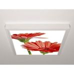 Gök Panel 60X60 LED Panel Aydınlatma Armatür Avize Sıva Üstü Desenli Tekli 46510692SU - 6500K - Beyaz