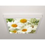 Gök Panel 60X60 LED Panel Aydınlatma Armatür Avize Sıva Üstü Desenli Tekli 46510694SU - 6500K - Beyaz