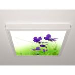 Gök Panel 60X60 LED Panel Aydınlatma Armatür Avize Sıva Üstü Desenli Tekli 46510700SU - 6500K - Beyaz