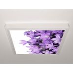 Gök Panel 60X60 LED Panel Aydınlatma Armatür Avize Sıva Üstü Desenli Tekli 46510729SU - 6500K - Beyaz