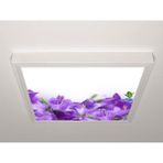 Gök Panel 60X60 LED Panel Aydınlatma Armatür Avize Sıva Üstü Desenli Tekli 46510871SU - 6500K - Beyaz