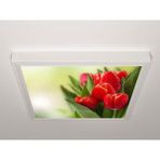 Gök Panel 60X60 LED Panel Aydınlatma Armatür Avize Sıva Üstü Desenli Tekli 46511108SU - 6500K - Beyaz